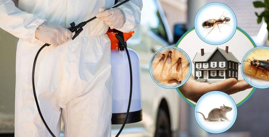 Süleymanpaşa Böcek İlaçlama