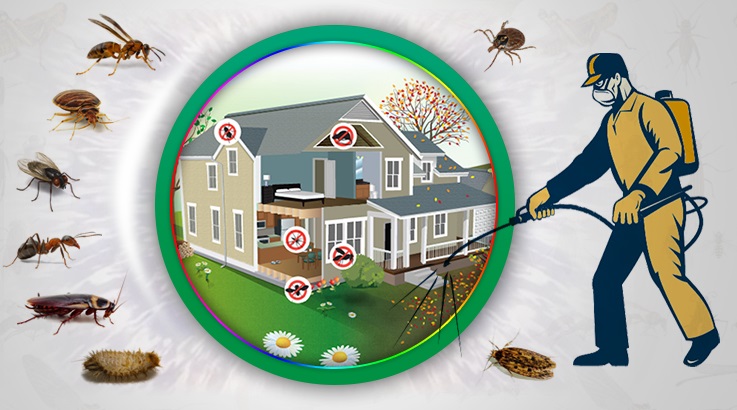 Süleymanpaşa Böcek İlaçlama