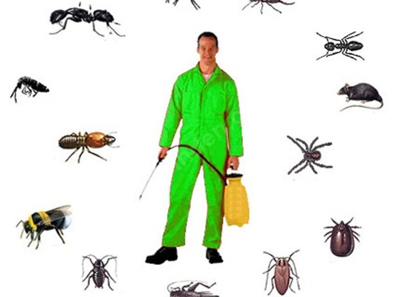 Süleymanpaşa Böcek İlaçlama